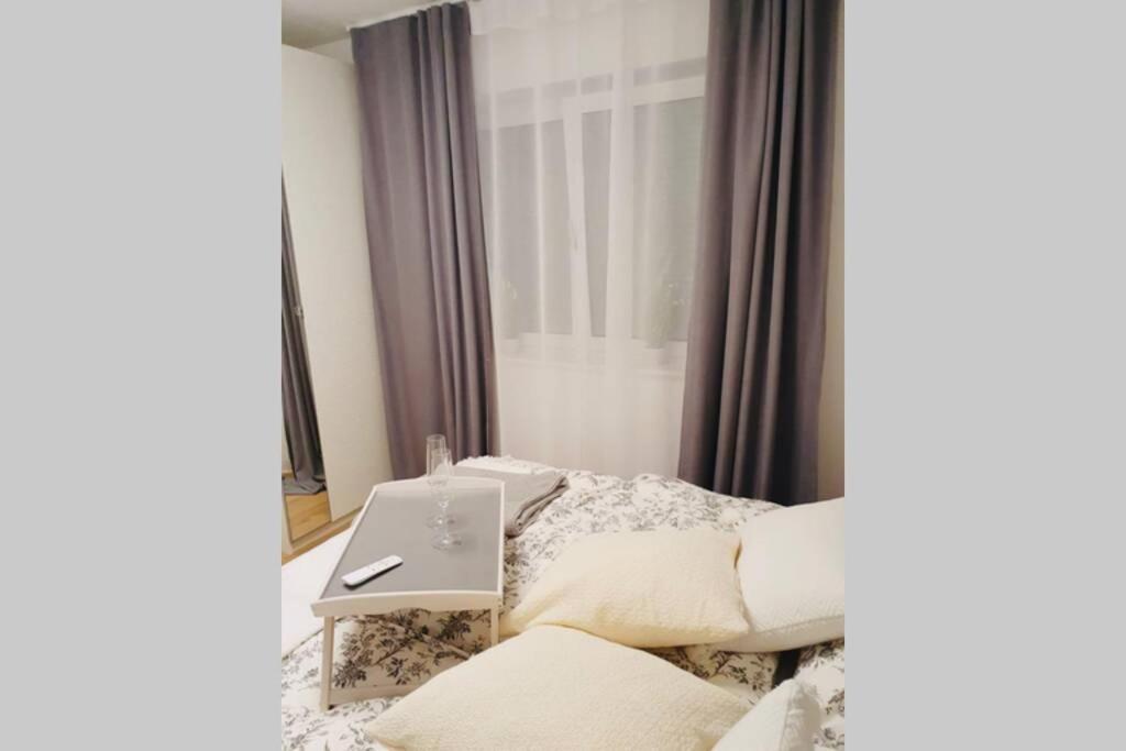 לינץ Leon Apartment Neu! Gemuetlichkeit An Erster Stelle מראה חיצוני תמונה